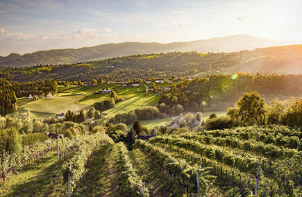 Beste Gastronomien & Hotellerien in Steiermark
