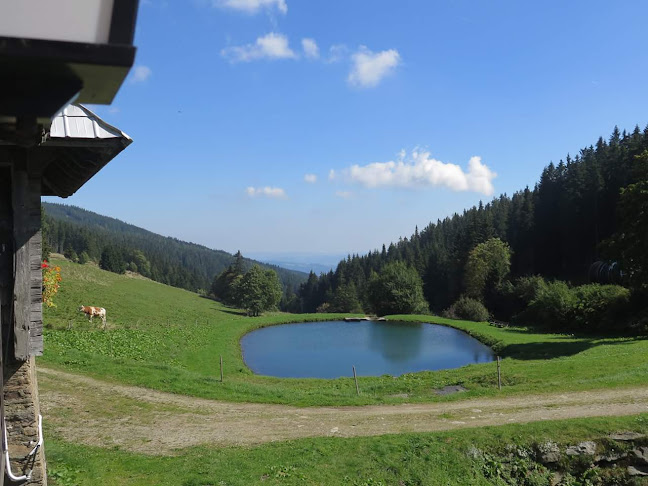 Steyersberger Schwaig - Gastronomie und Hotellerie