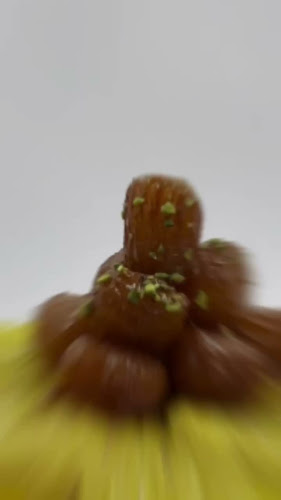 Apameh Konditorei - Gastronomie und Hotellerie