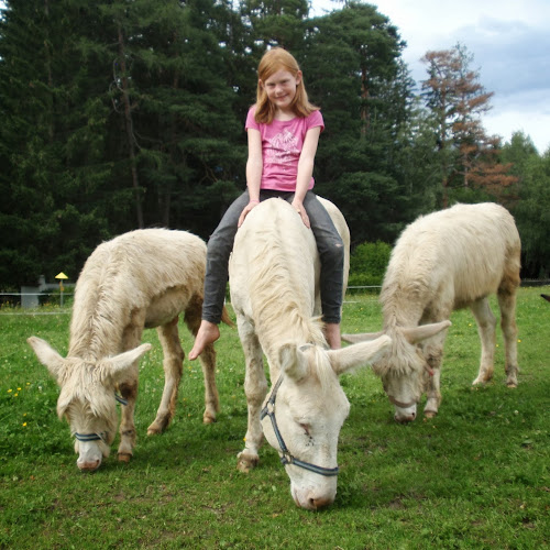 Comentarii opinii despre Wirtshaus Nattererboden