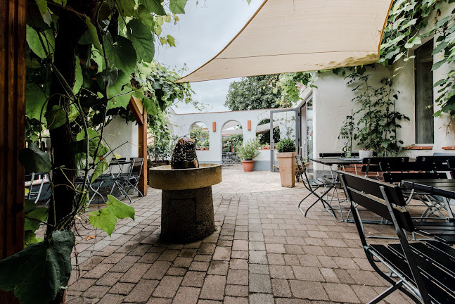 Dorfwirt Pachinger - Gastronomie und Hotellerie