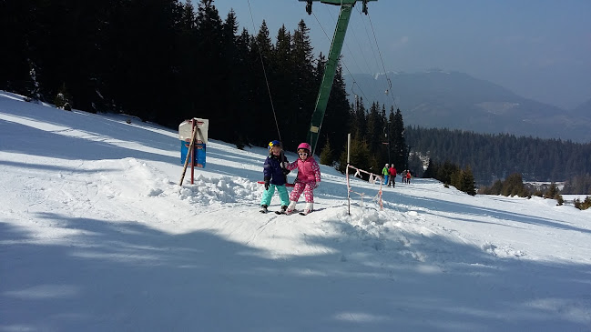 Comentarii opinii despre Steyersberger Schwaig