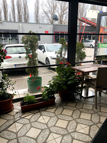 Opinii despre Alaturka în Wiener Neustadt - Gastronomie und Hotellerie