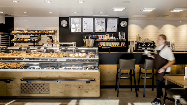 Ströck - Zschokkegasse