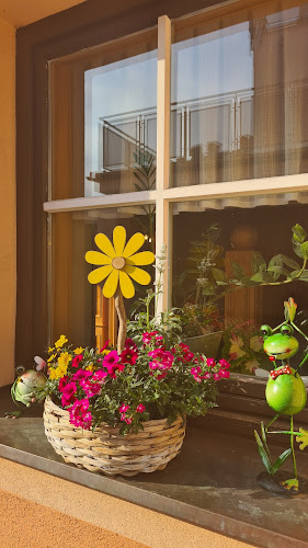 Comentarii opinii despre STEAKHOUSE FRIESACHER