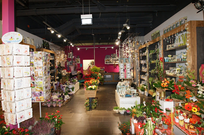 Opinii despre Blumen Calovini în Schwaz - Gastronomie und Hotellerie