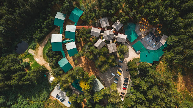 Waldgasthof Oachkatzl - Schlemmen und Feiern - Knechtelsdorf
