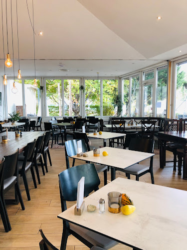 Comentarii opinii despre VOLEE - Club • Cafe • Restaurant