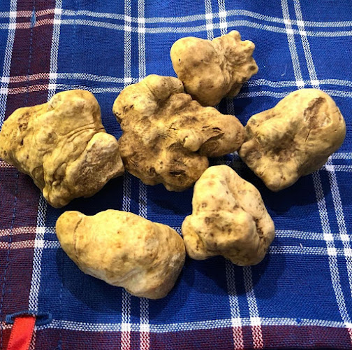 Vitamin & Genussfarm | Renate Neubauer - Gastronomie und Hotellerie