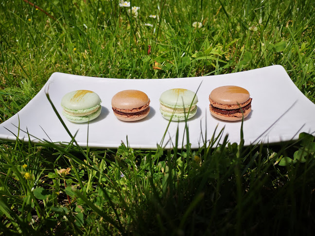 Pürbacher Str. 141, 3945 Hoheneich