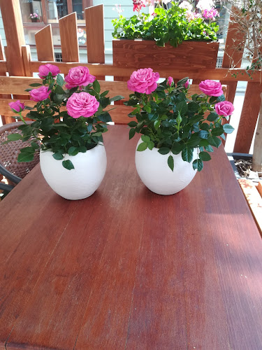 Morellenfeldgasse 1, 8010 Graz