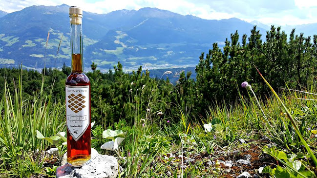 Opinii despre AlpPine Spirits GmbH în Hall in Tirol - Gastronomie und Hotellerie