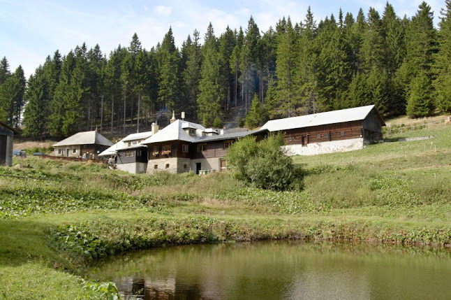 Steyersberger Schwaig - Kirchberg am Wechsel