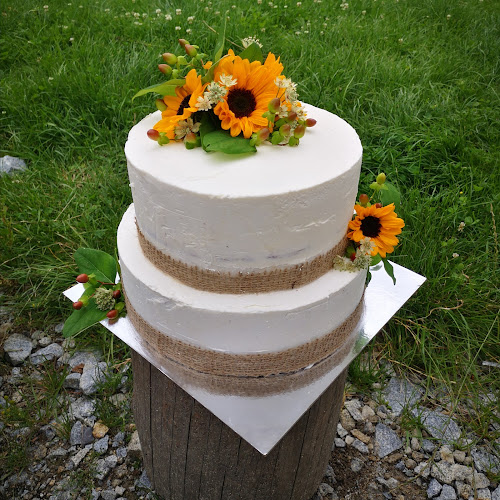 Comentarii opinii despre Patisseresi e.U.