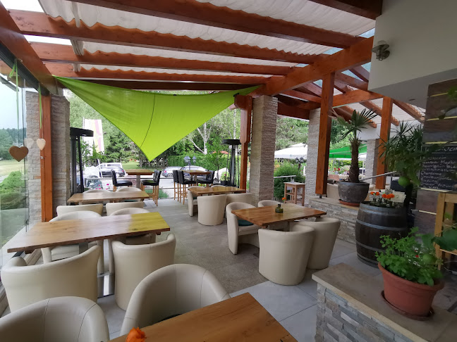 Comentarii opinii despre Restaurant - Hotel Kärntnerhof