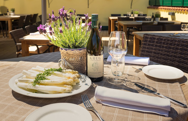Krug Gumpoldskirchen - Altes Zechhaus & Weingut - Gumpoldskirchen