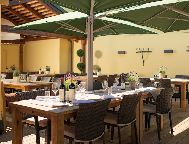 Comentarii opinii despre Krug Gumpoldskirchen - Altes Zechhaus & Weingut