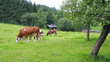 bioVermarktung Handels GesmbH