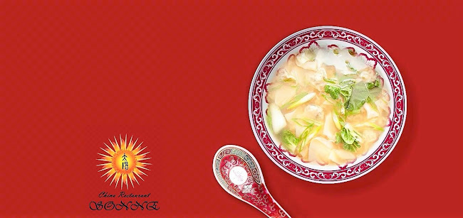 Opinii despre China Restaurant Sonne în Leoben - Gastronomie und Hotellerie