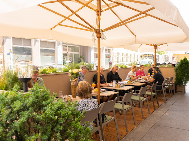 Opinii despre Restaurant Stöger în Wien - Gastronomie und Hotellerie