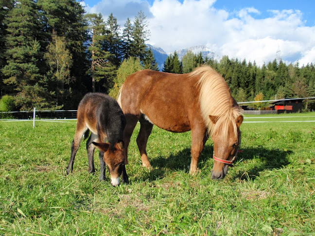 Natterer Boden 1, 6161 Natters