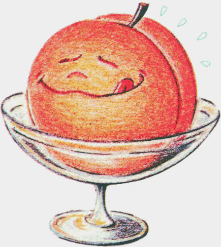 Die Wachauer Privatdestillerie Hellerschmid - Verkauf beim Steinertor - Gastronomie und Hotellerie