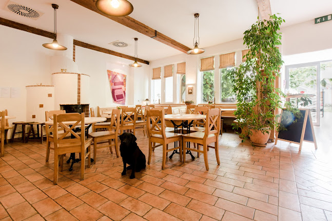 Comentarii opinii despre Dorfwirt Pachinger