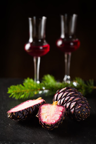 Steireralm - Gastronomie und Hotellerie