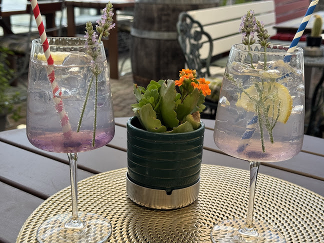 Comentarii opinii despre Ristorante Dolce Vita