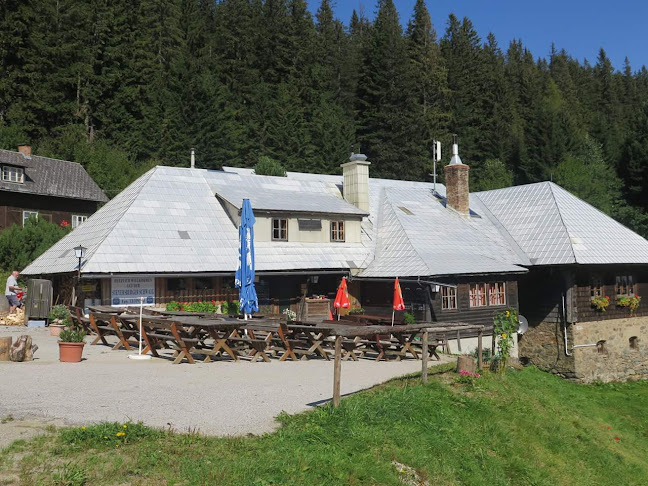 Molzegg 38, 2880 Kirchberg am Wechsel