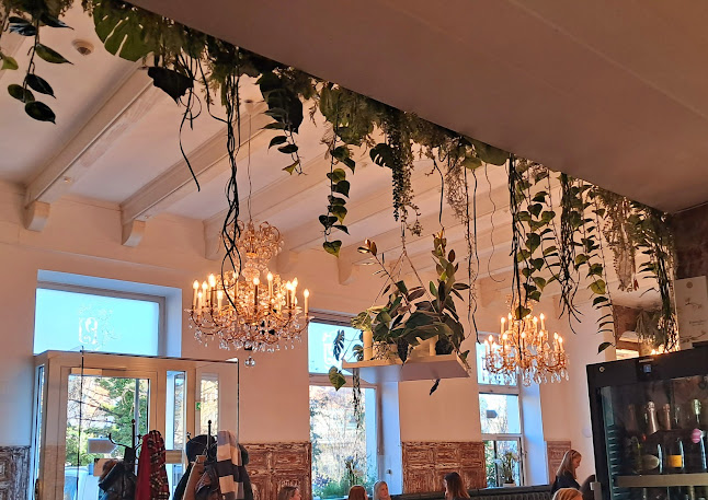 Comentarii opinii despre Salon Marie