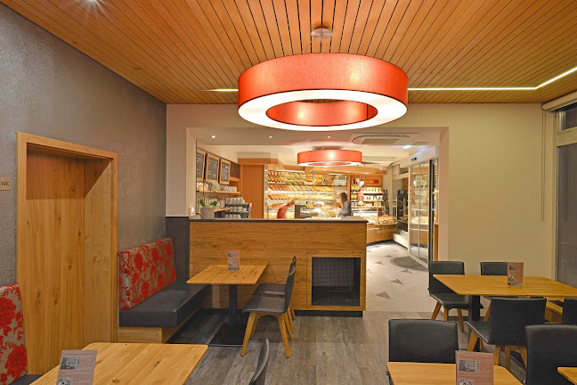 Bäckerei-Konditorei-Cafe Alber