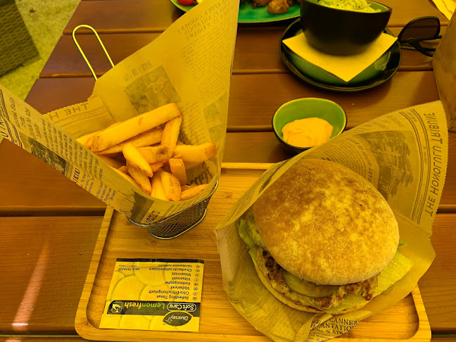 Comentarii opinii despre Hollers Steakhaus