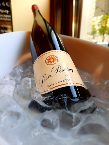 Opinii despre WEIN & CO Wien Schottentor – Weinbar & Shop în Wien - Gastronomie und Hotellerie