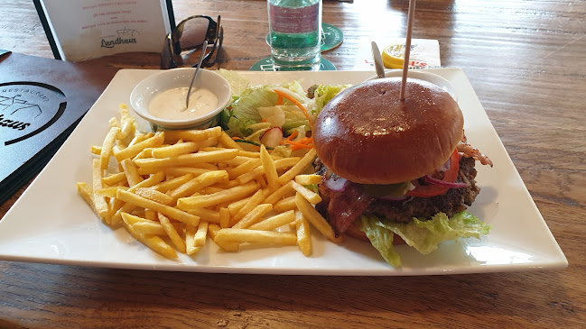 Comentarii opinii despre Restaurant Landhaus