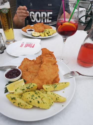 Comentarii opinii despre Pfudl