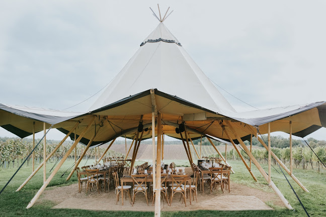 Comentarii opinii despre Franz von Grün