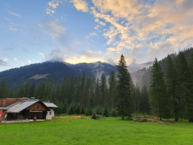 Comentarii opinii despre Ammerwald-Alm