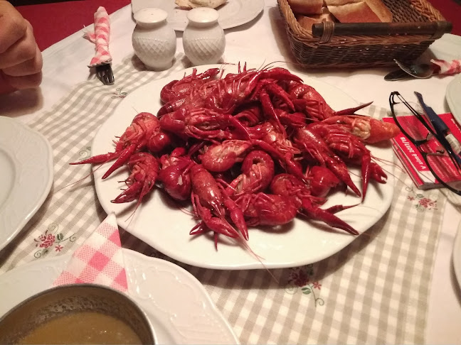 Adlerhütte Bergrestaurant - Kitzbühel