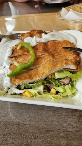 Pizzeria Alimo - Gastronomie und Hotellerie