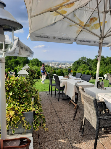 Comentarii opinii despre Panoramarestaurant