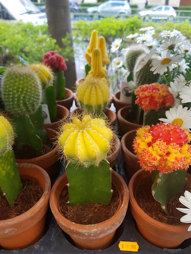 Wiedner Hauptstraße 75, 1040 Wien