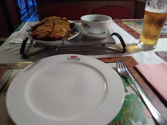 LOTUS Chinarestaurant - Saalfelden am Steinernen Meer