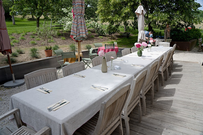 Spitzwirtin - Scharten