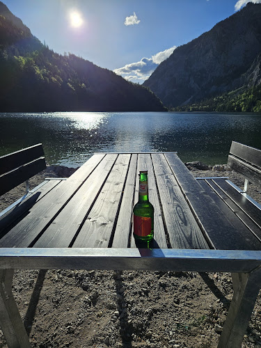 Leopoldsteinersee Gastro Betriebs KG Strandbuffet - Eisenerz