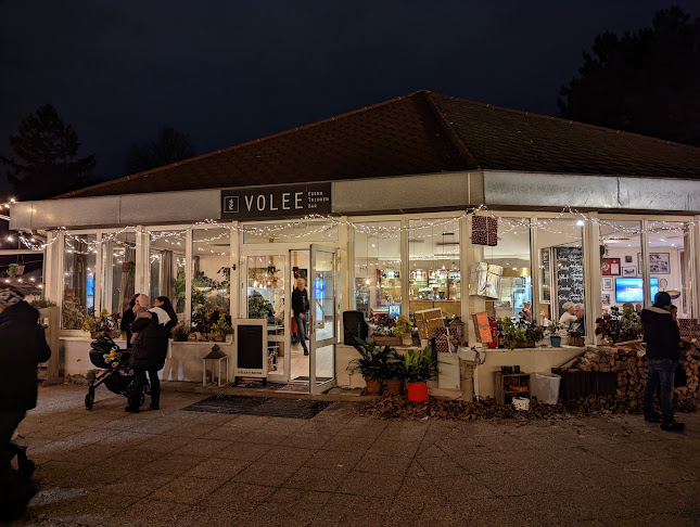 VOLEE - Club • Cafe • Restaurant - Wien