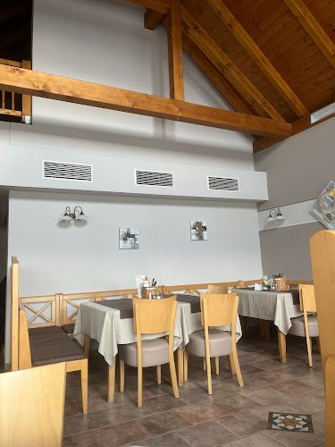 Comentarii opinii despre Michael Riedrich GmbH