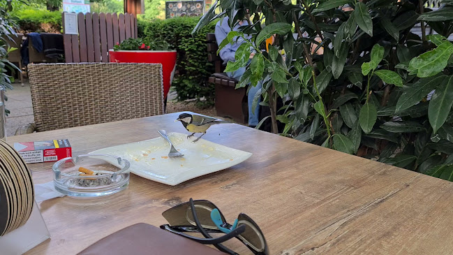 Biergart'l im Stadtpark