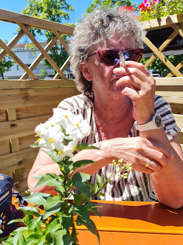 Comentarii opinii despre Bimbos