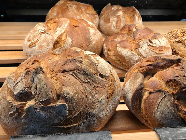 Bäckerei Gazi Pizza & Burek - Leobersdorf